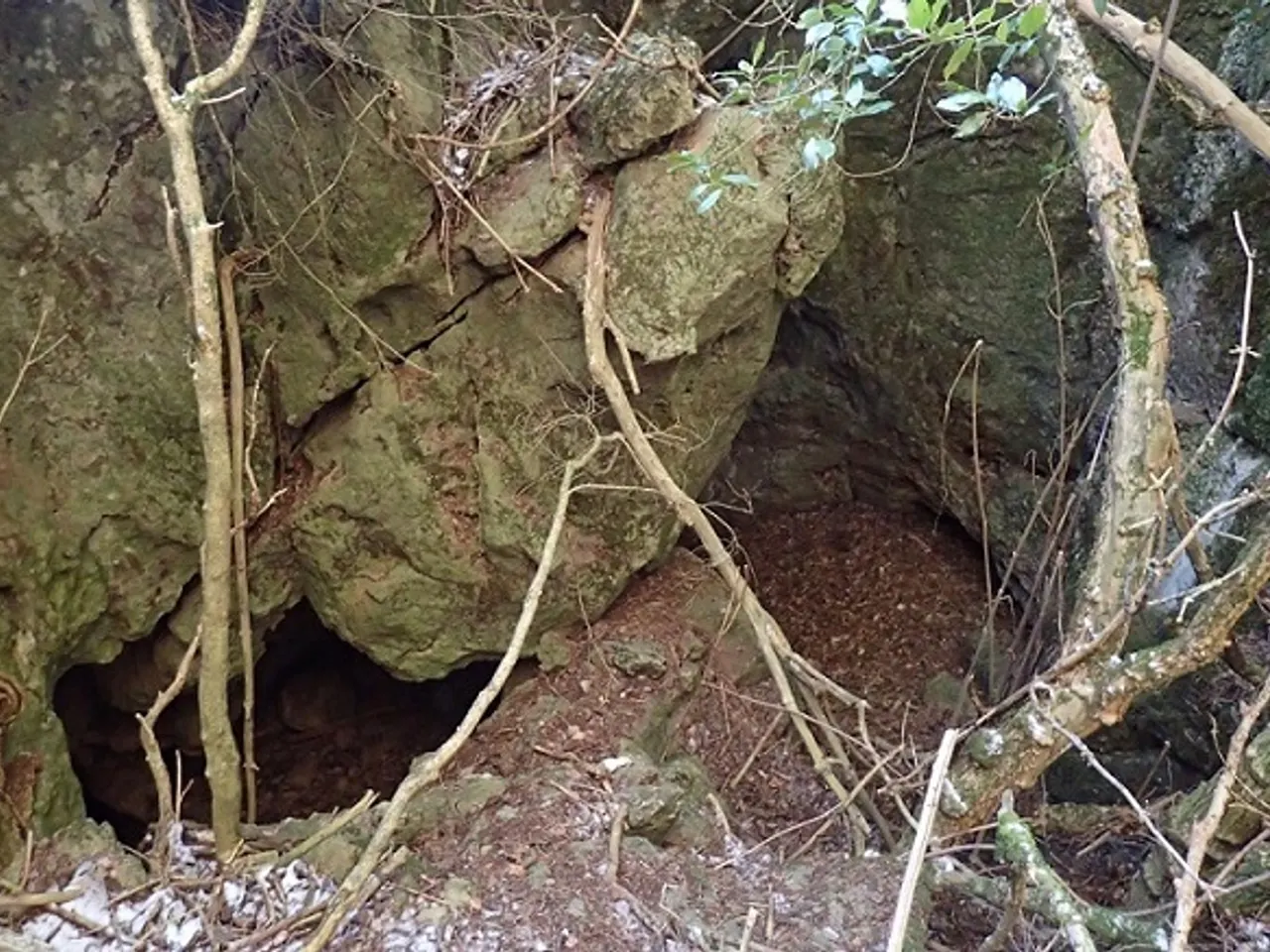 Fotografía de ARNAU, COVA D'