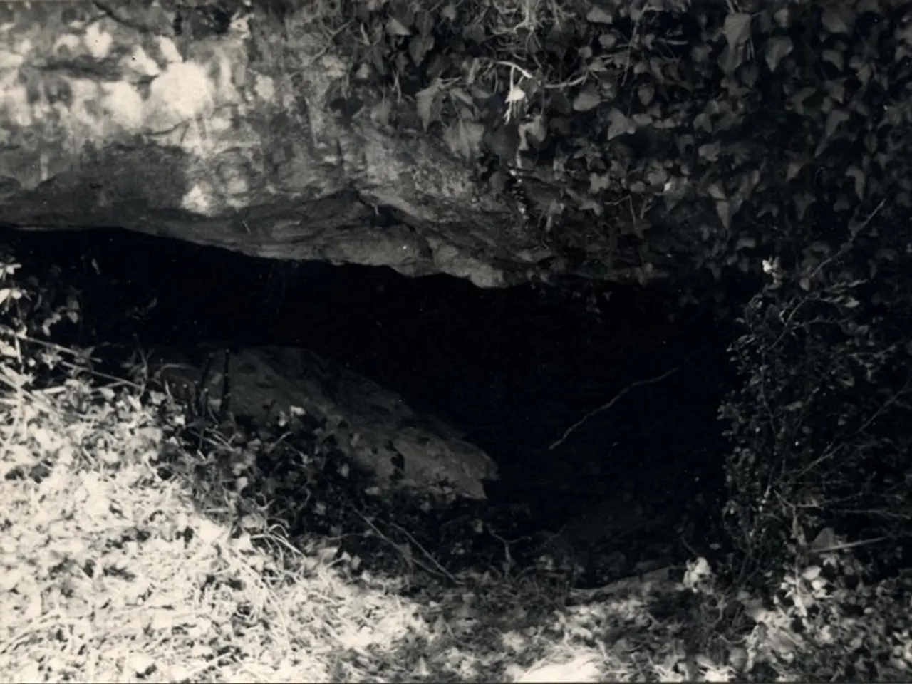 Photographie de PASQUAL, ULLAL DE