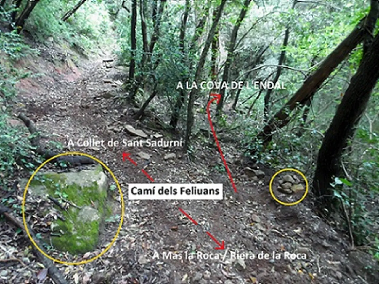 Fotografia de ENDAL, COVA DE L'