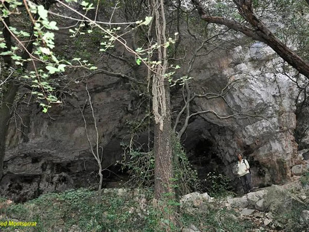 Fotografia de MAS VILAR, COVA DE
