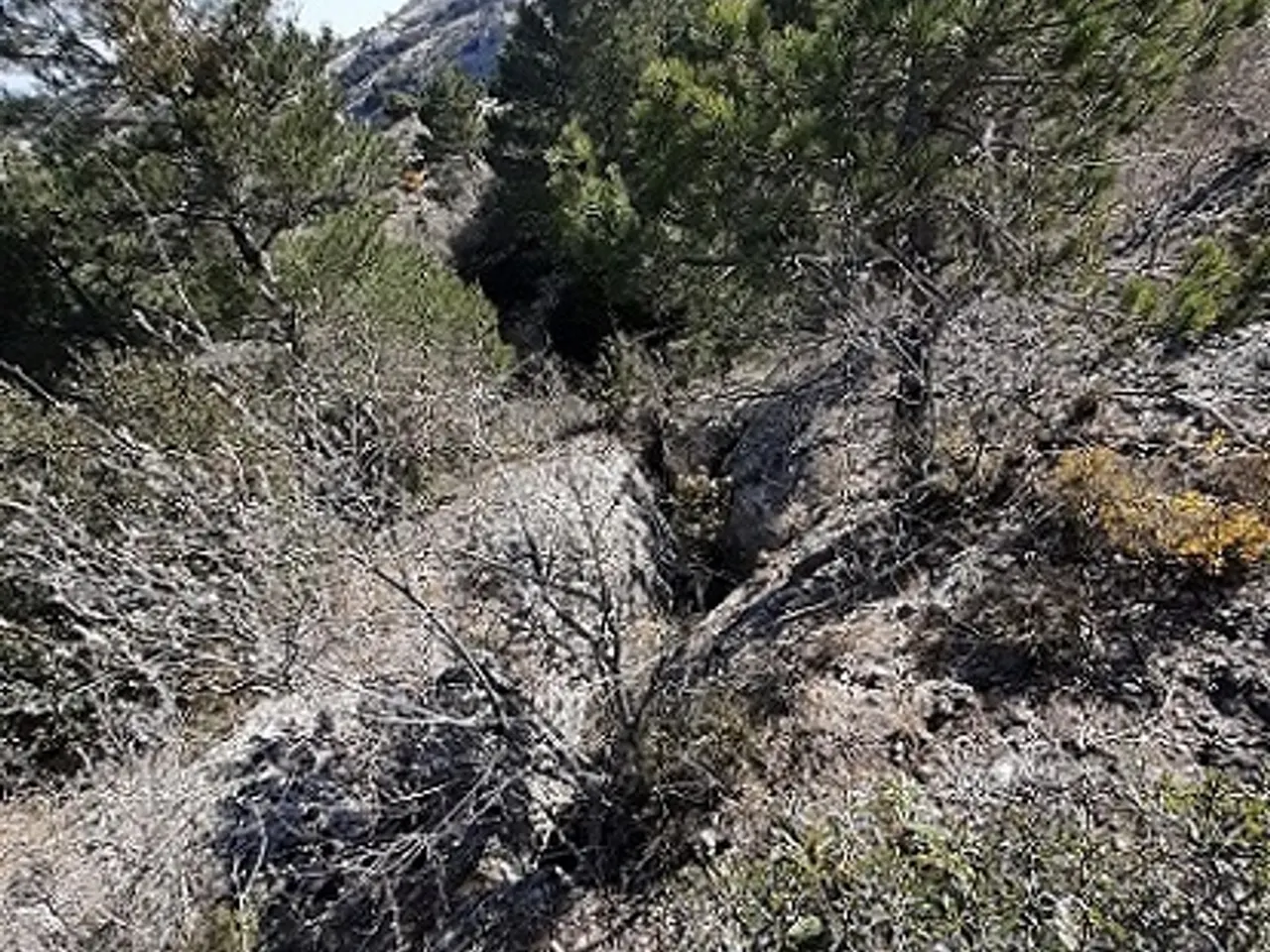 Fotografía de AUFERÍ, AVENC DE L'