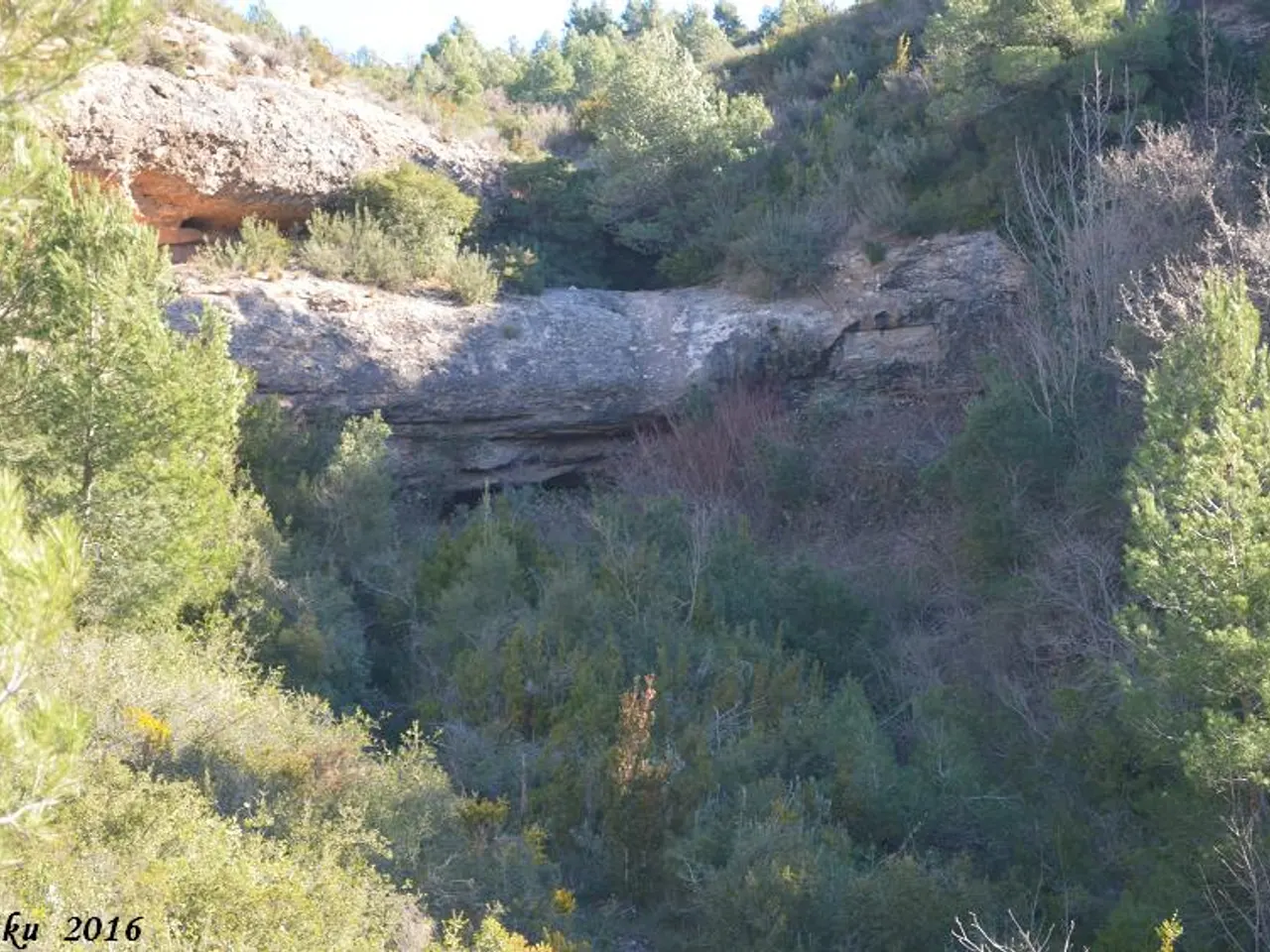 Fotografia de POTAU, COVA DEL