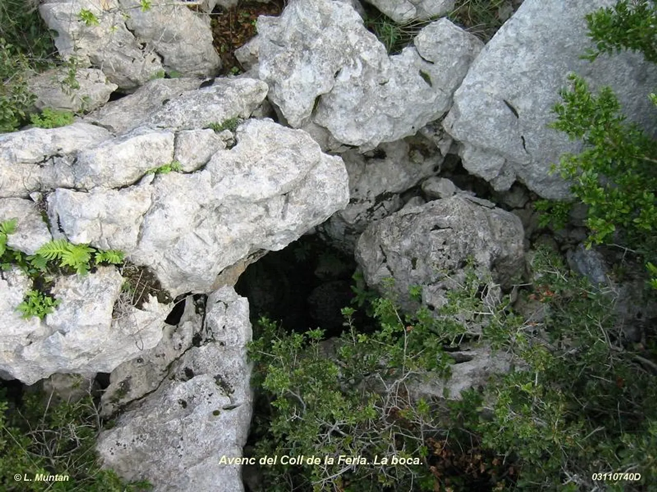 Fotografía de COLL DE LA FERLA, AVENC DEL