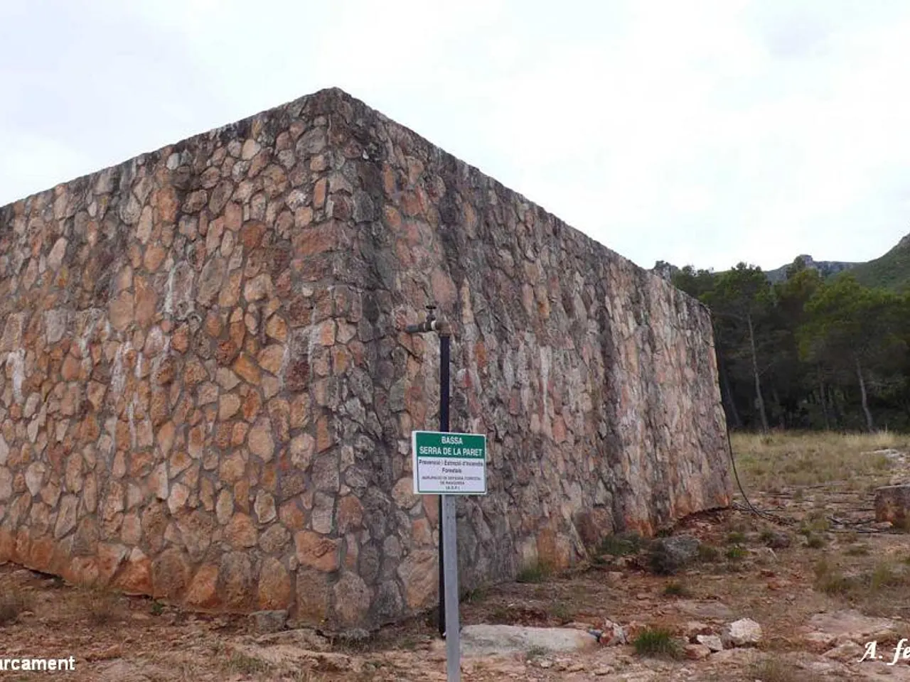 Fotografía de RABOSA, COVA DE LA