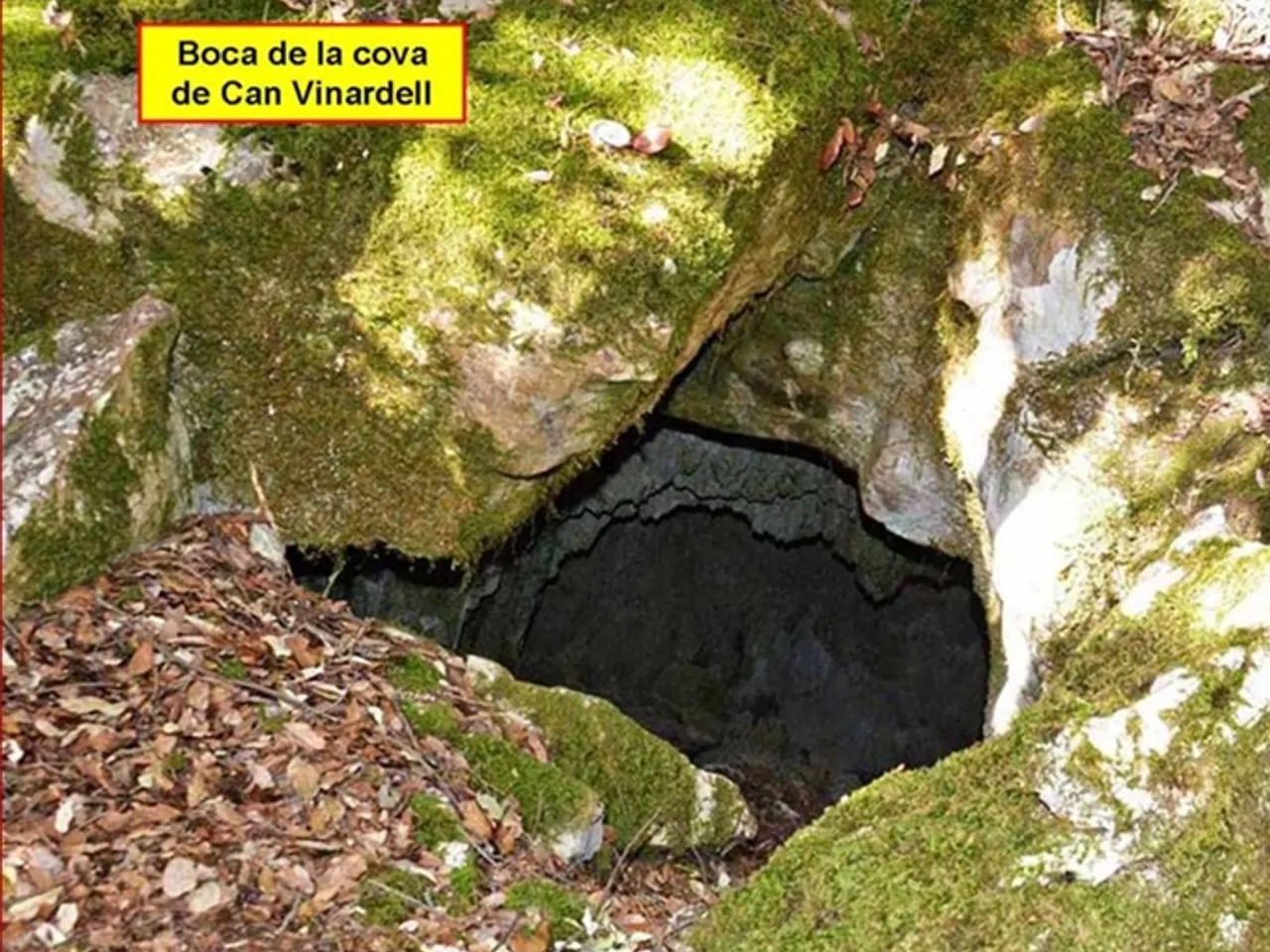 Photographie de CAN VINARDELL, COVA DE
