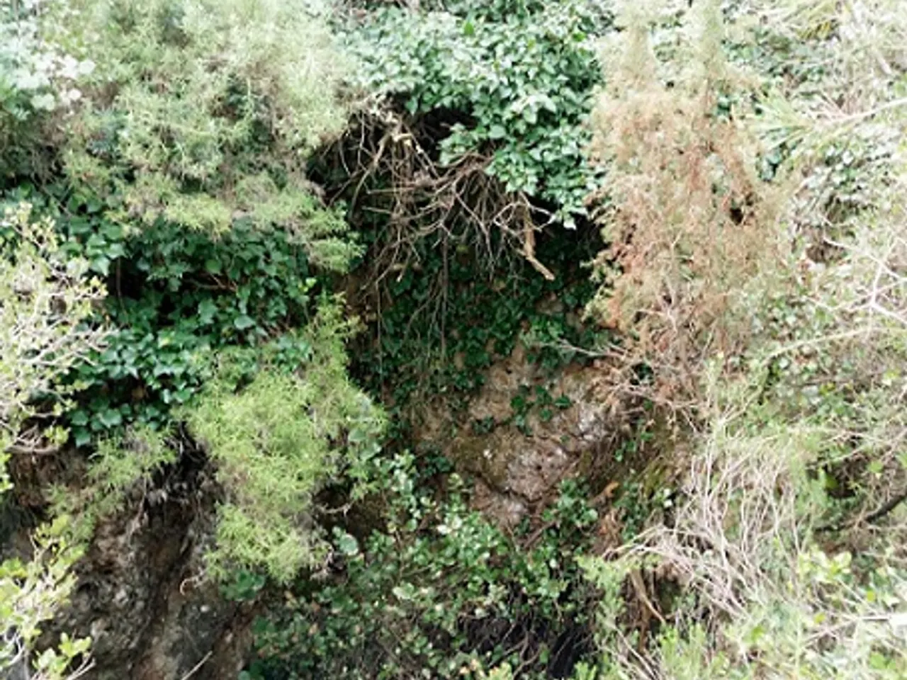 Photograph of HP-6,  AVENC