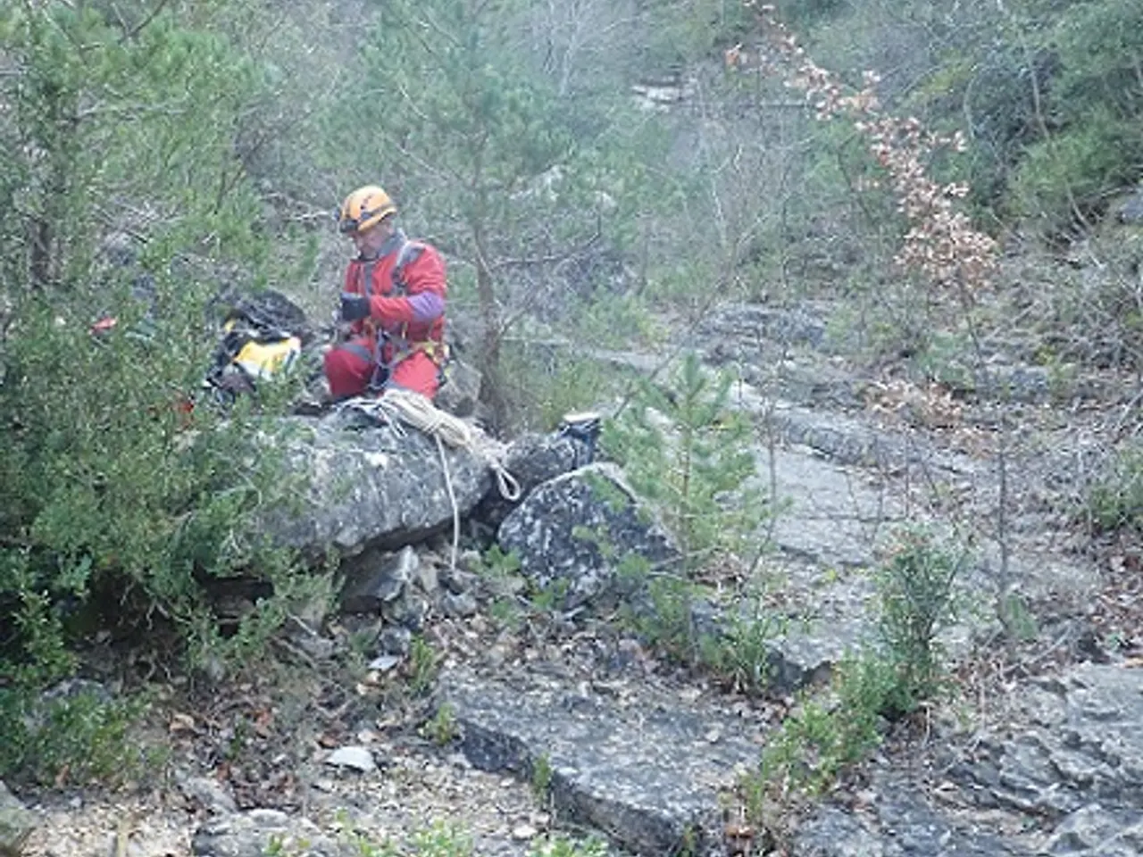 Fotografia de BARRANC DE LA FORADADA, AVENC DEL