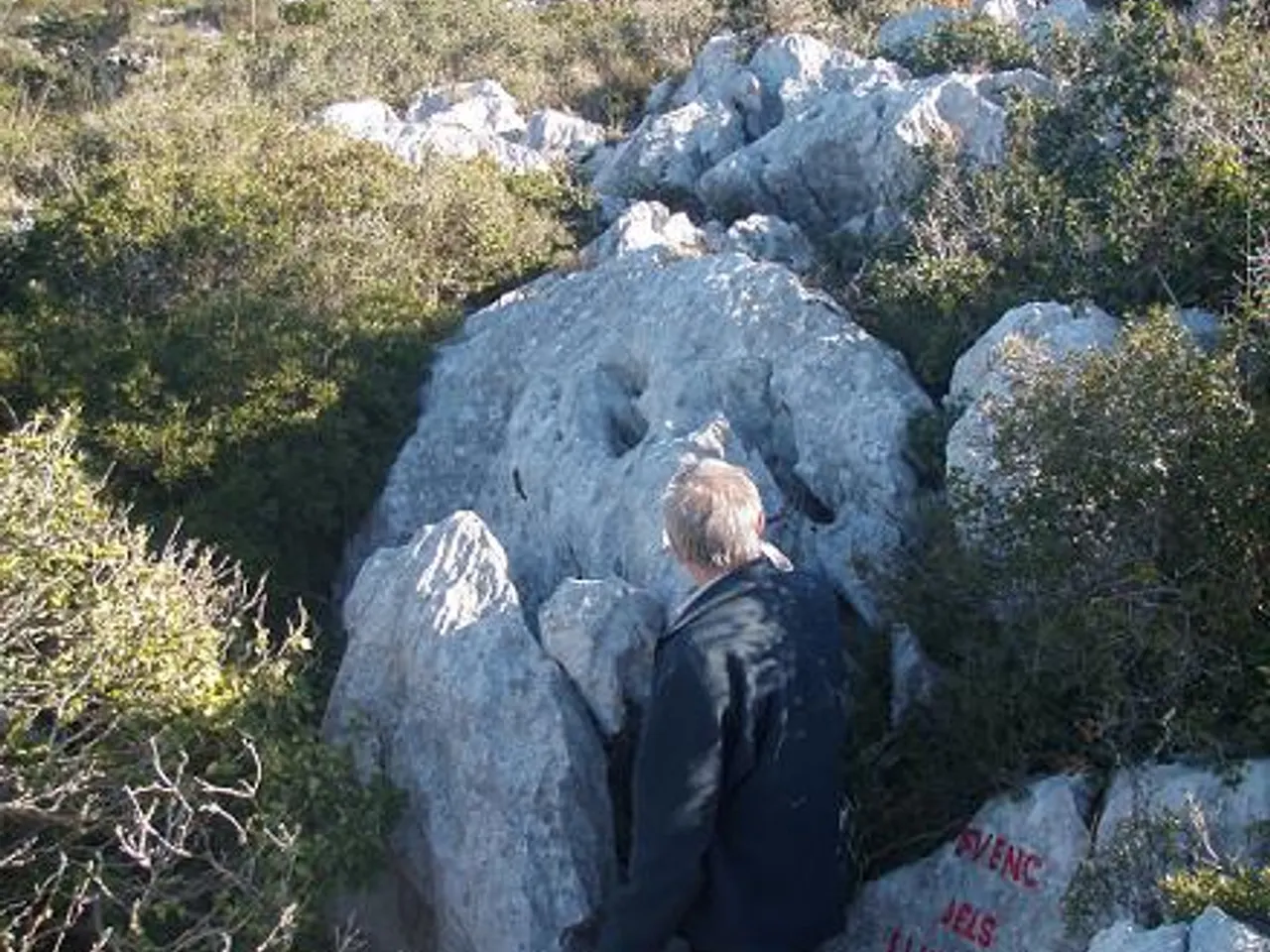 Photograph of LLUMINS, AVENC DELS