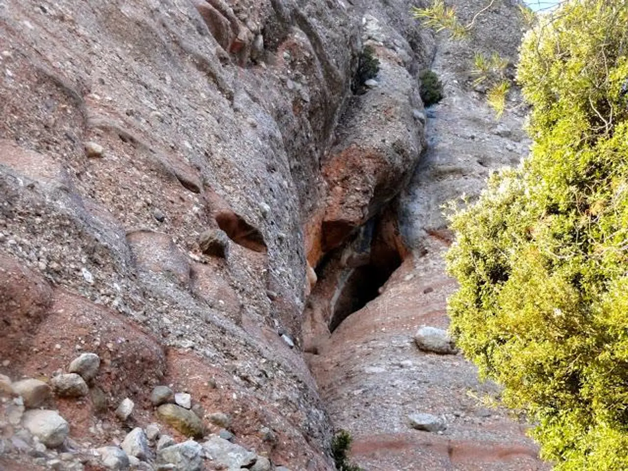 Fotografia de GAITES, COVA DE LES