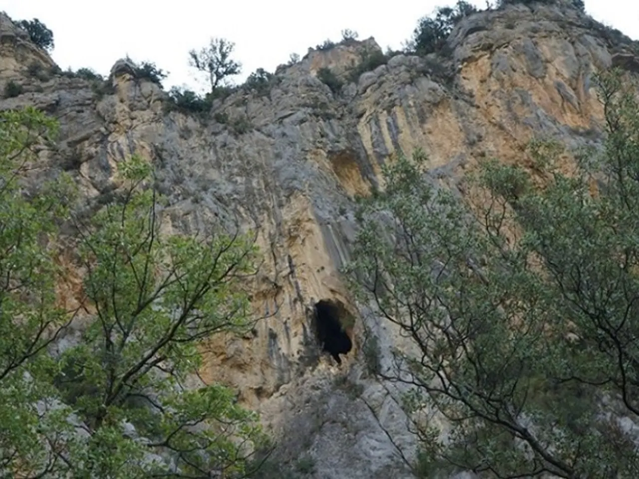 Fotografía de MILL, COVA DEL