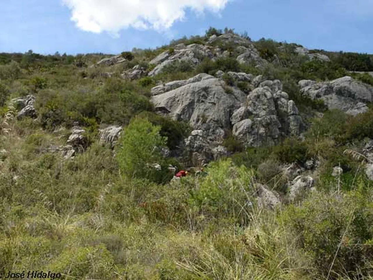 Fotografia de PENYA EMBASSADA, AVENC DE