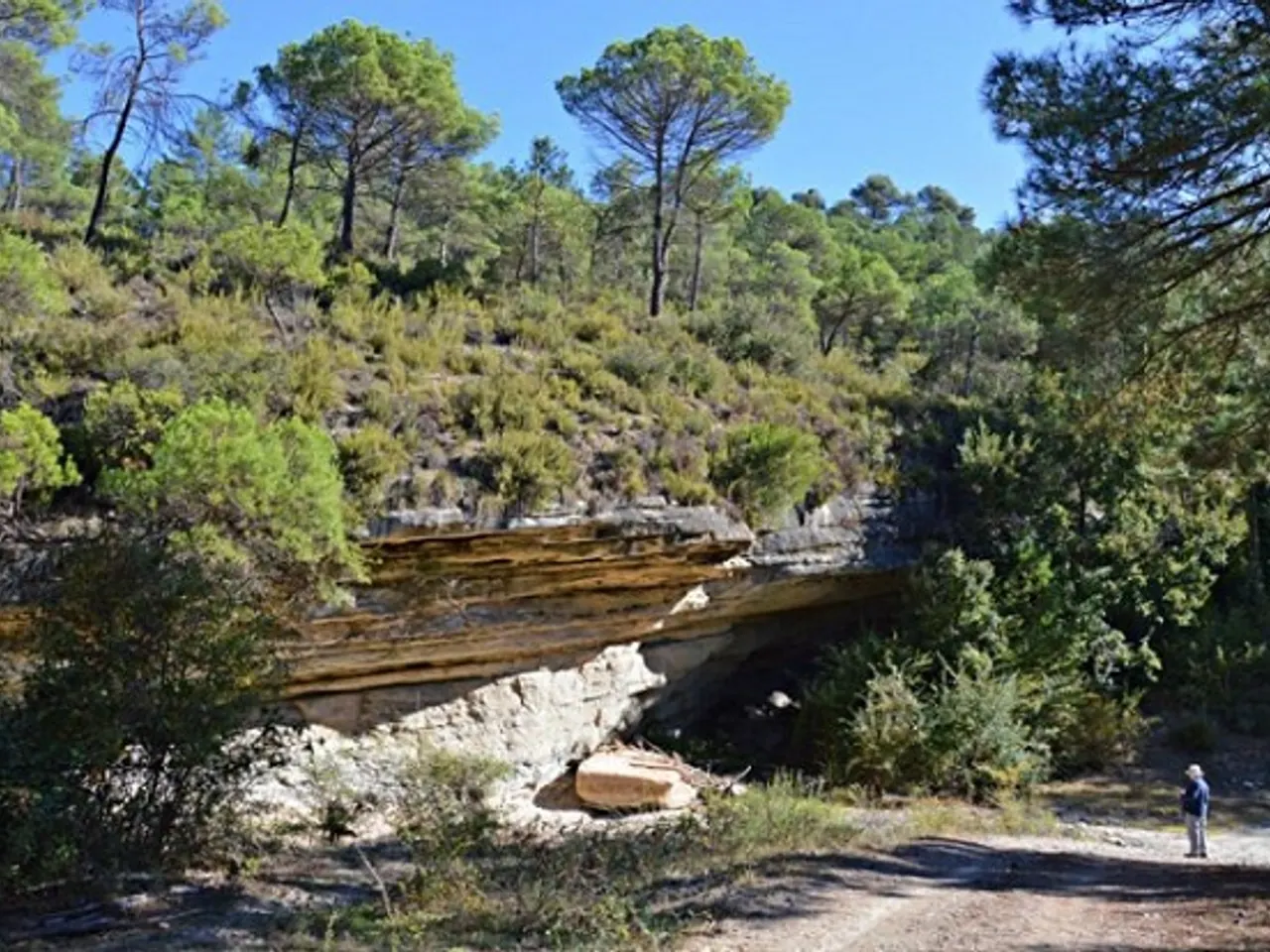 Fotografia de RIERA DE SANT JOAN, BAUMA DE LA