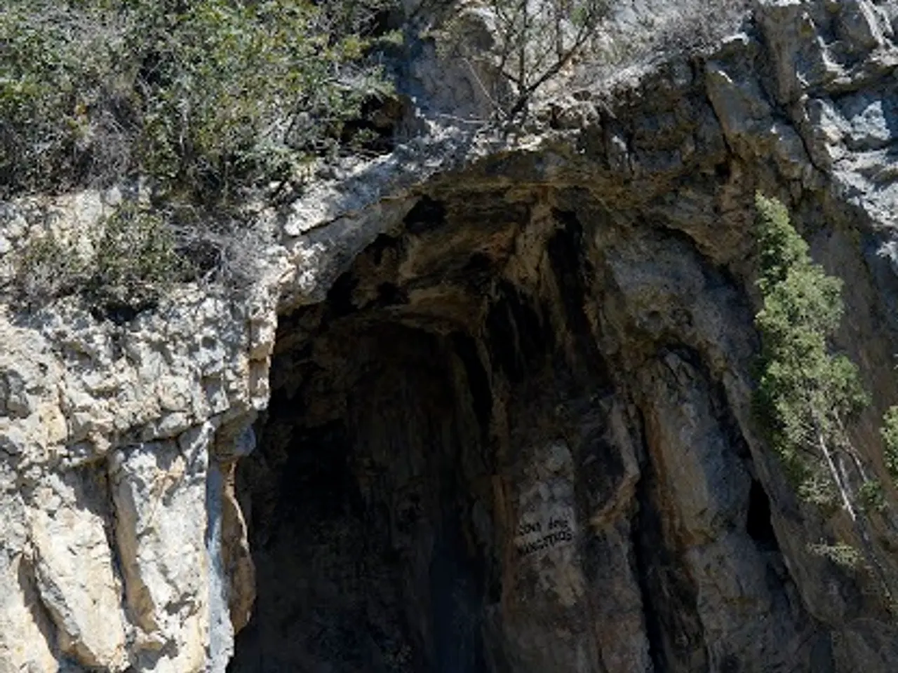 Photographie de MANGOTXOS, COVA DELS