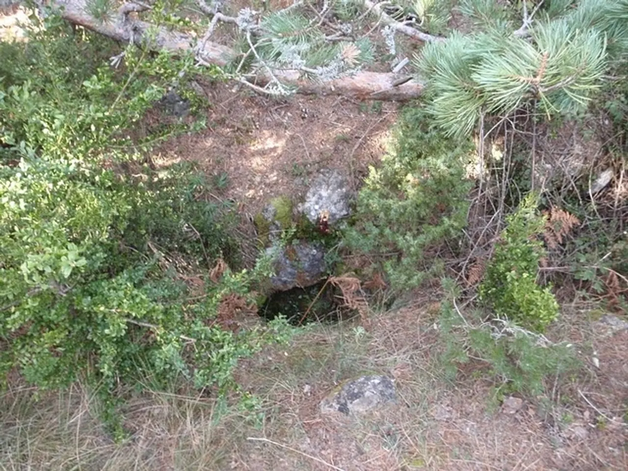 Fotografía de CURSA, AVENC DE LA