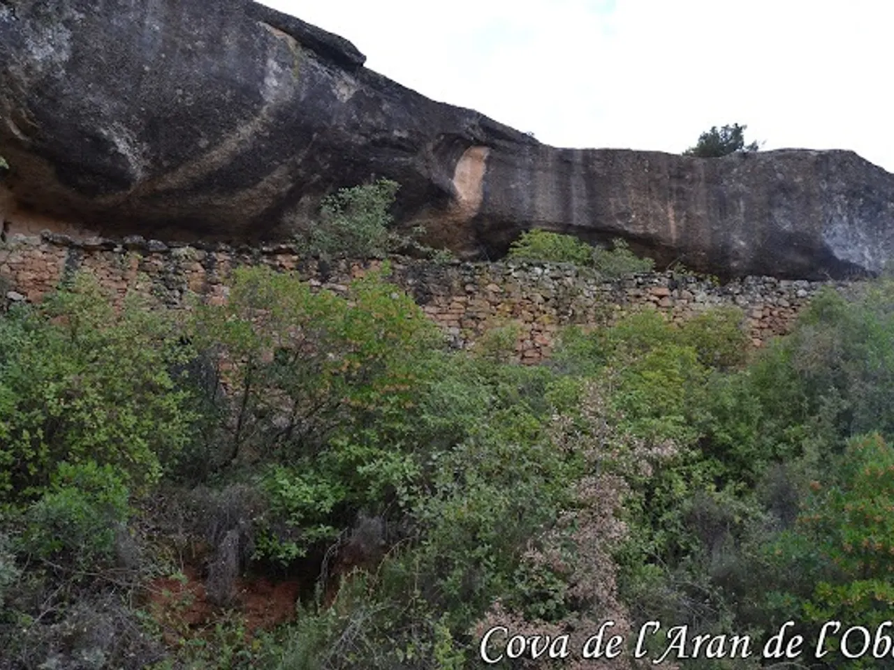 Fotografia de ARAN DE L'OBAGA, COVA DE L'