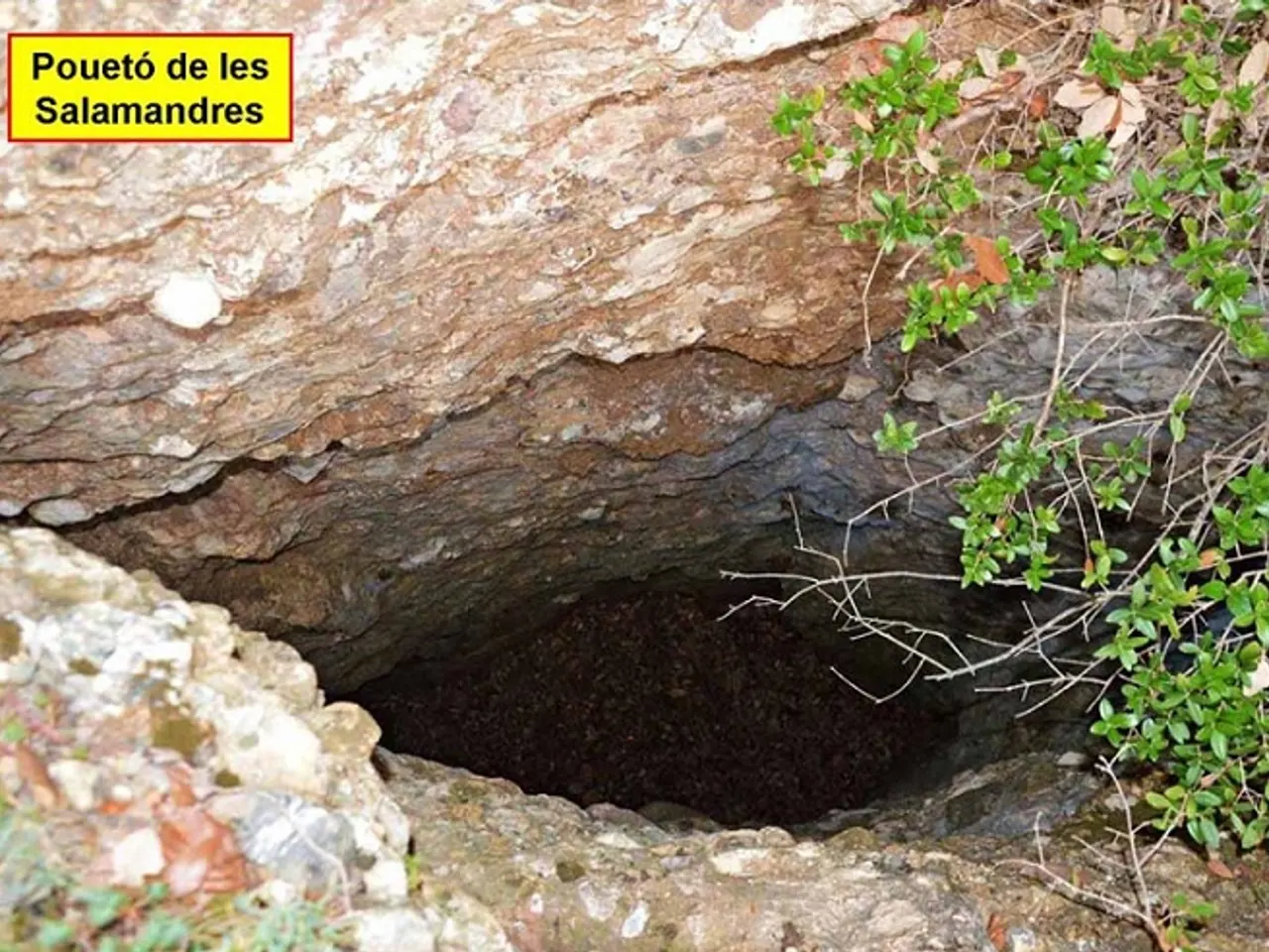 Photographie de SALAMANDRES, POUETÓ DE LES