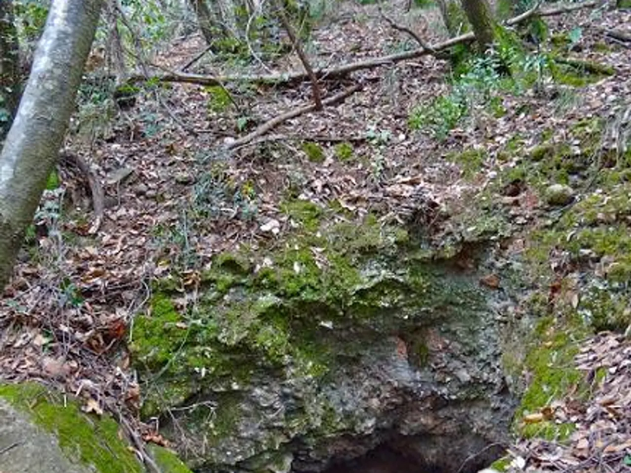Fotografia de COSTA DEL TET, AVENC DE LA