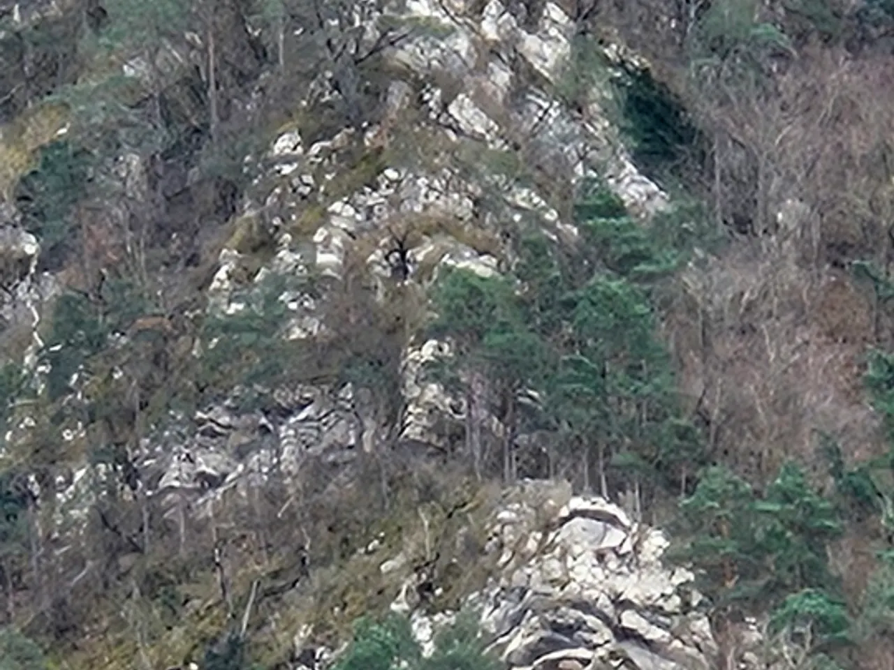 Fotografía de MASSANA, COVA DEL