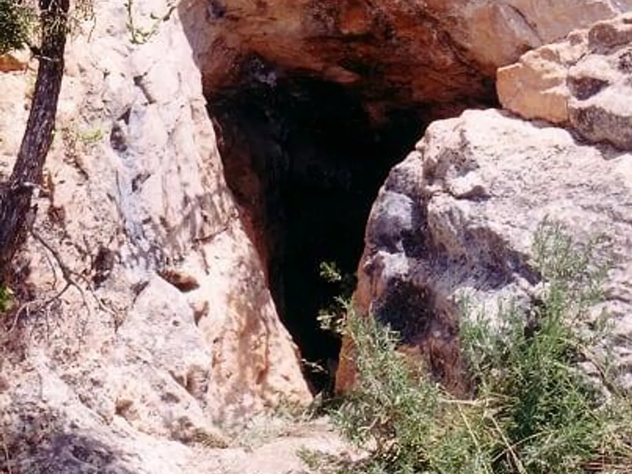 Photographie de BARRANC FONDO, COVA DEL