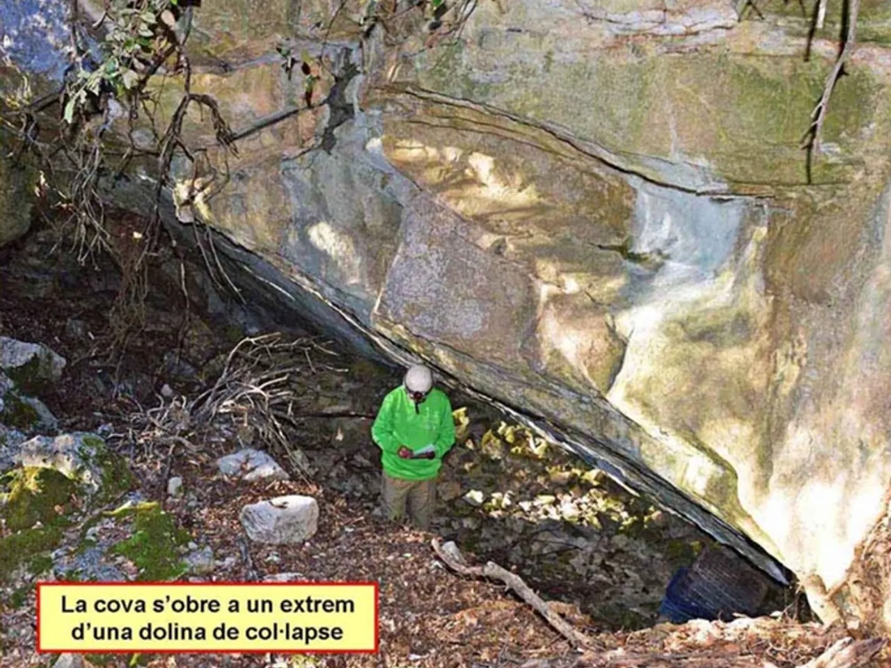 Fotografia de ARCADES, COVA DE LES