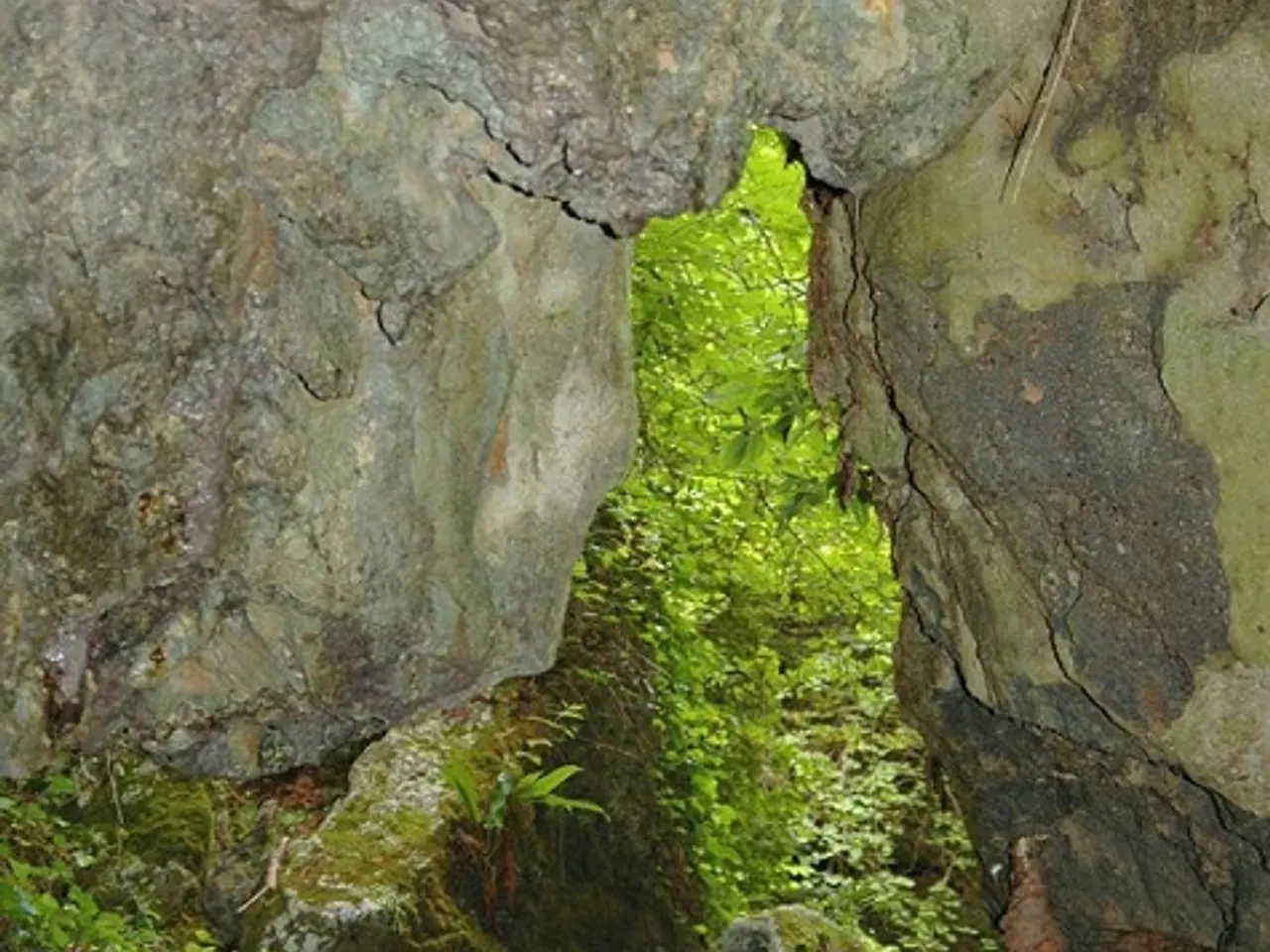 Photographie de TOSCA, LA