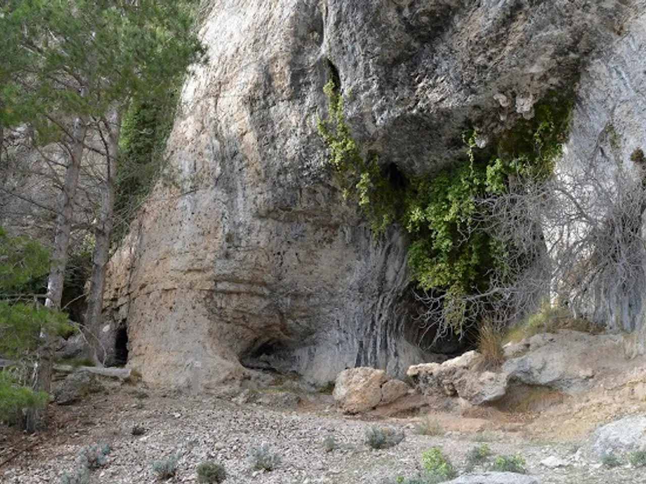 Fotografia de BOUS, COVA DELS