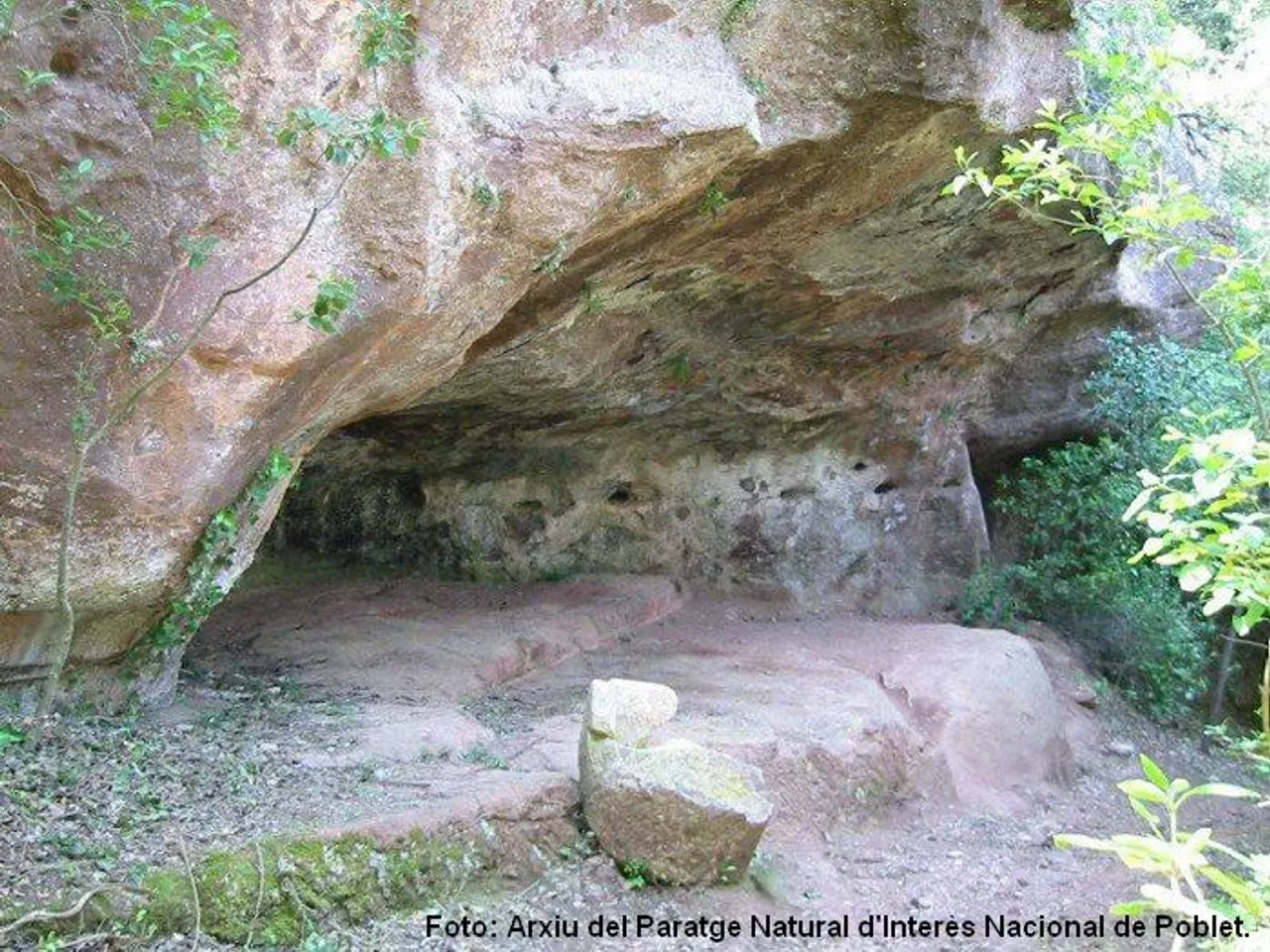 Fotografía de FRA MARGINET, COVA DE