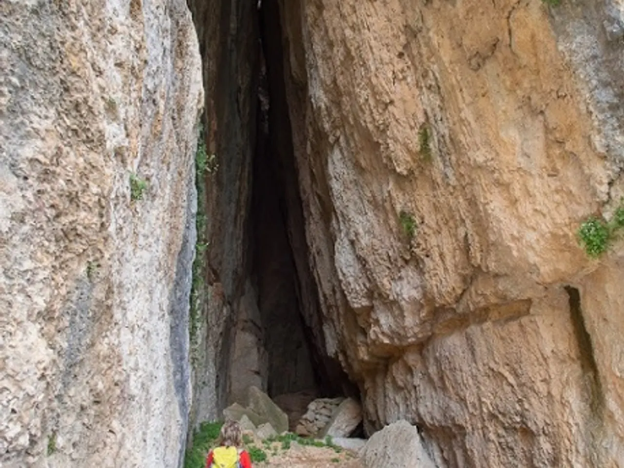 Fotografia de JUNÇA, AVENC DE LA