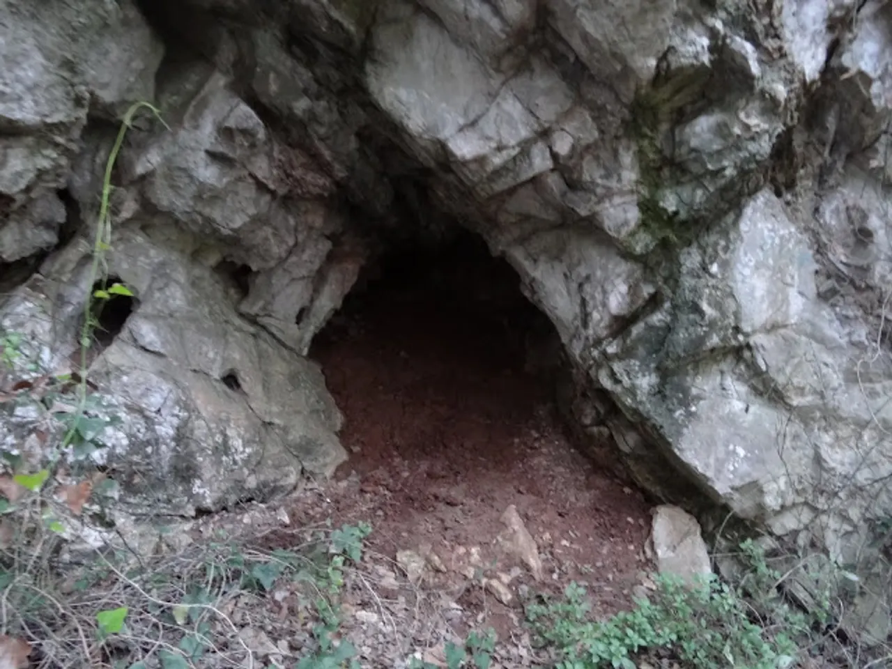 Fotografia de GORG D'EN FITÓ, COVA DEL