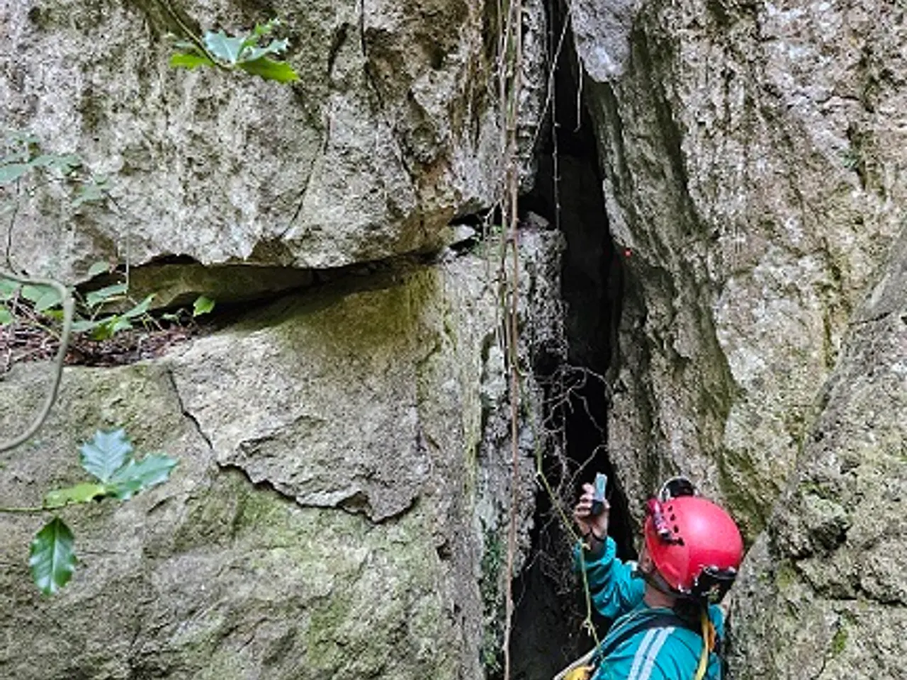 Fotografia de FOU DE BALET, COVES DE LA