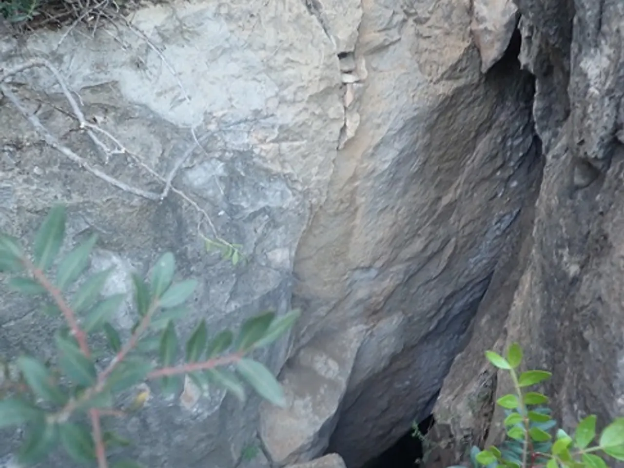Fotografía de FORAT AMAGAT, COVA
