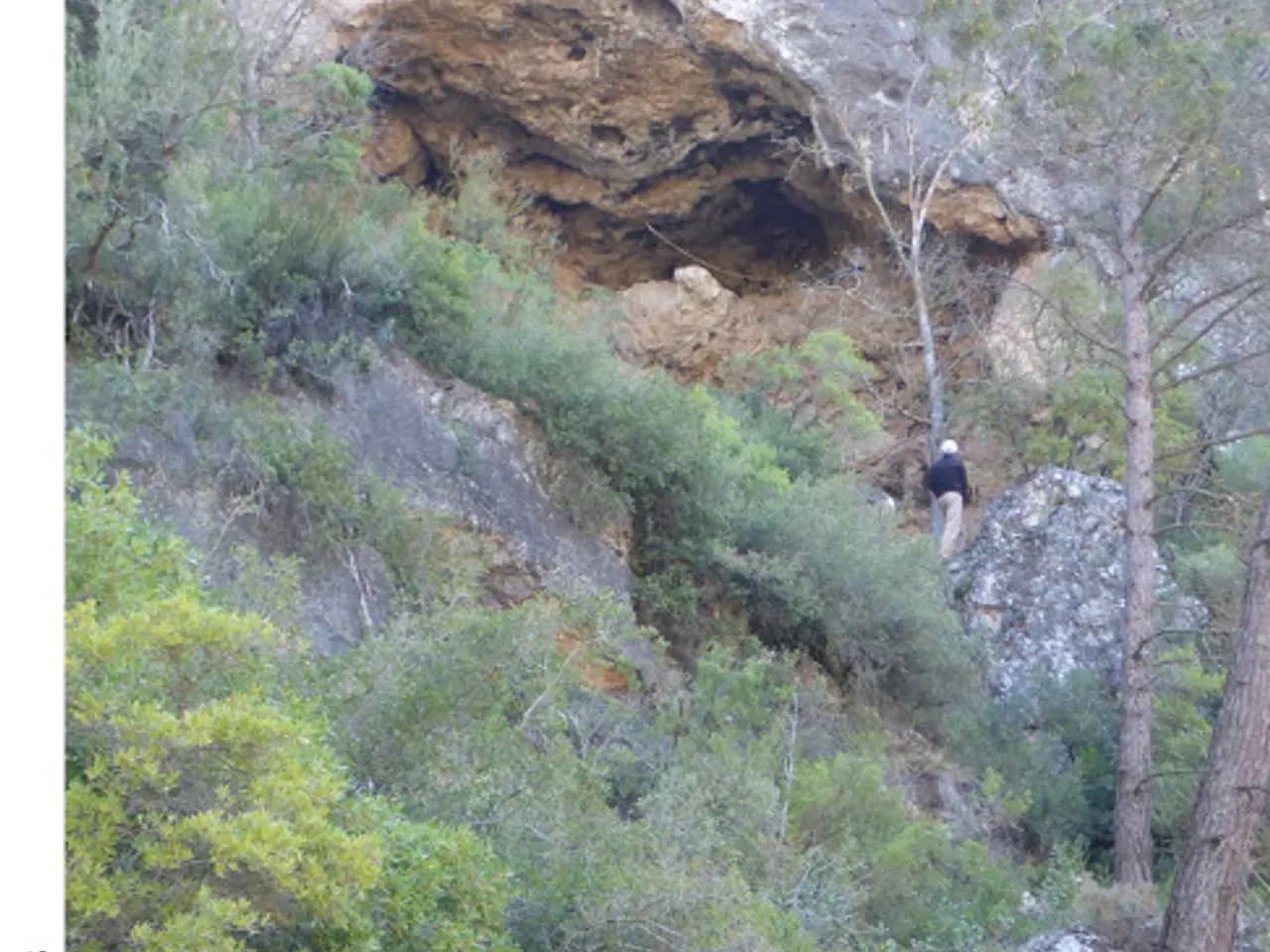 Fotografía de MOIXETA, COVA DE LA