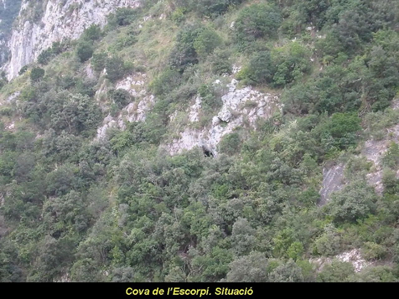 Fotografía de ESCORPÍ, COVA DE L'