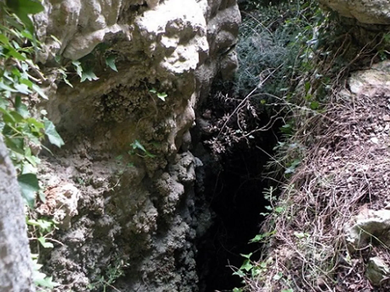 Fotografía de PUNTA DE LES MOLES, AVENC DE LA