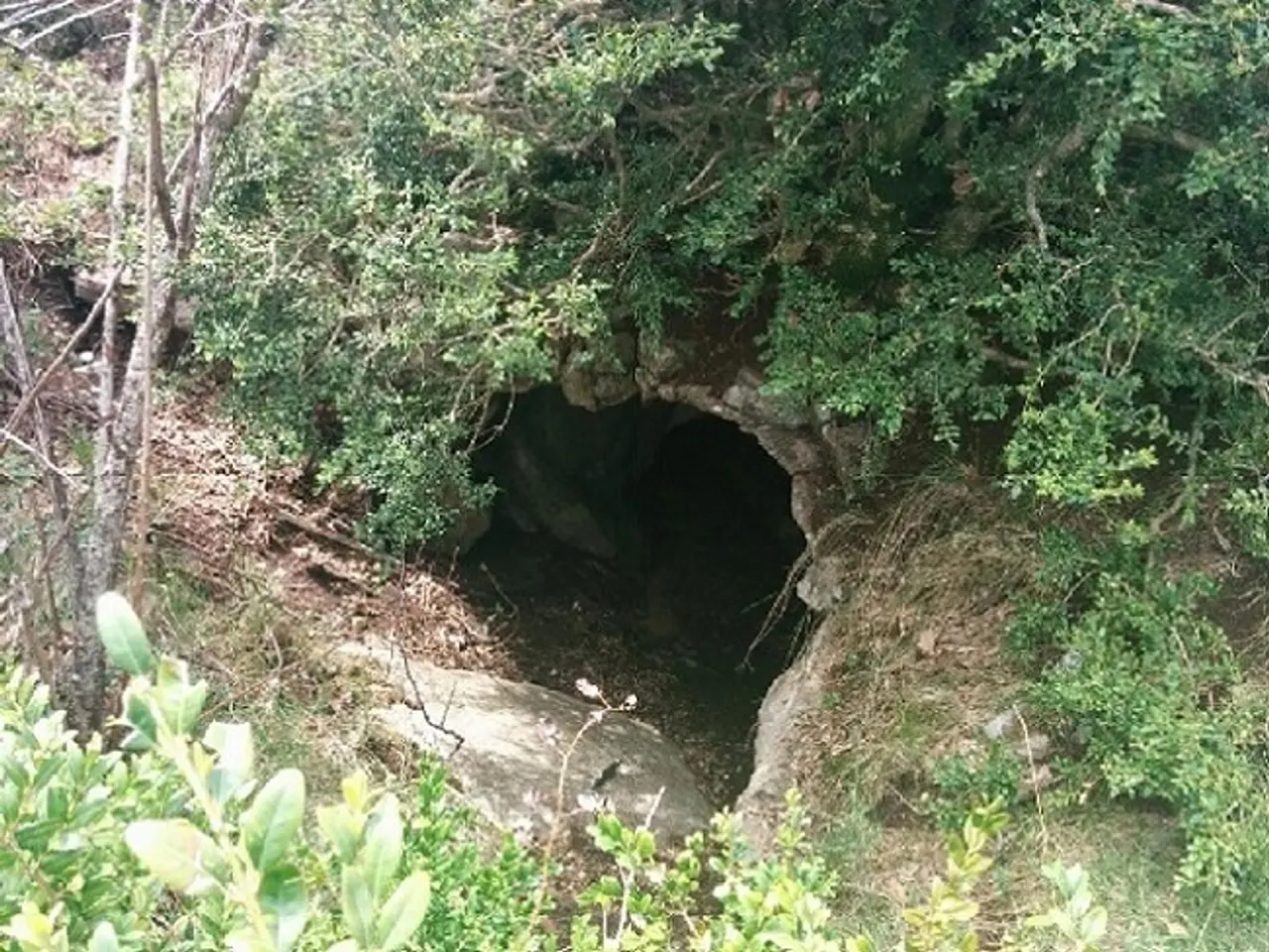 Photographie de PLA DE VACA, COVA DEL