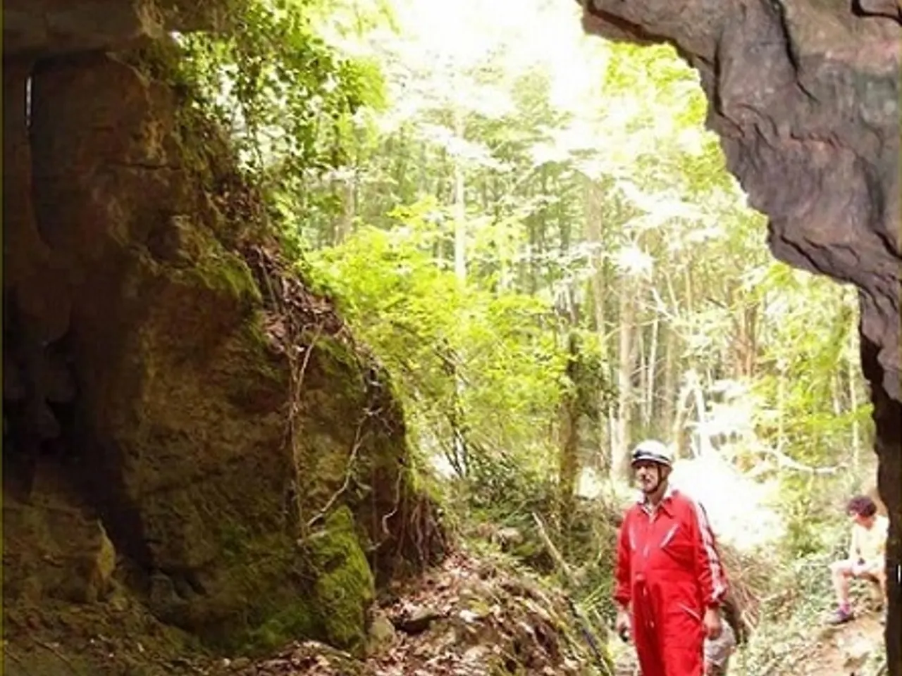 Photographie de FONT GROSSA, COVA DE LA