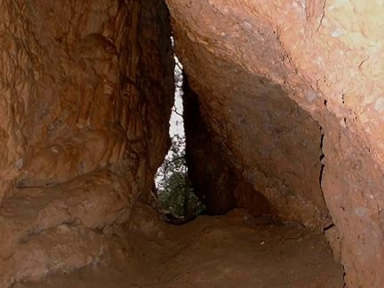 Fotografia de MANEL, COVA DEL