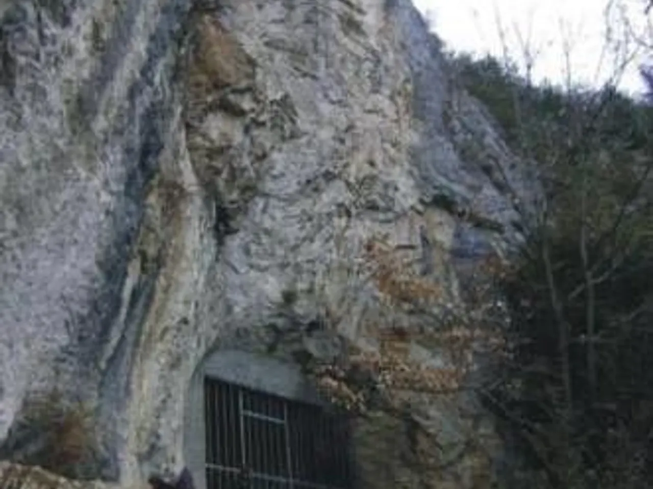 Fotografia de FUSTANYÀ, TUT DE