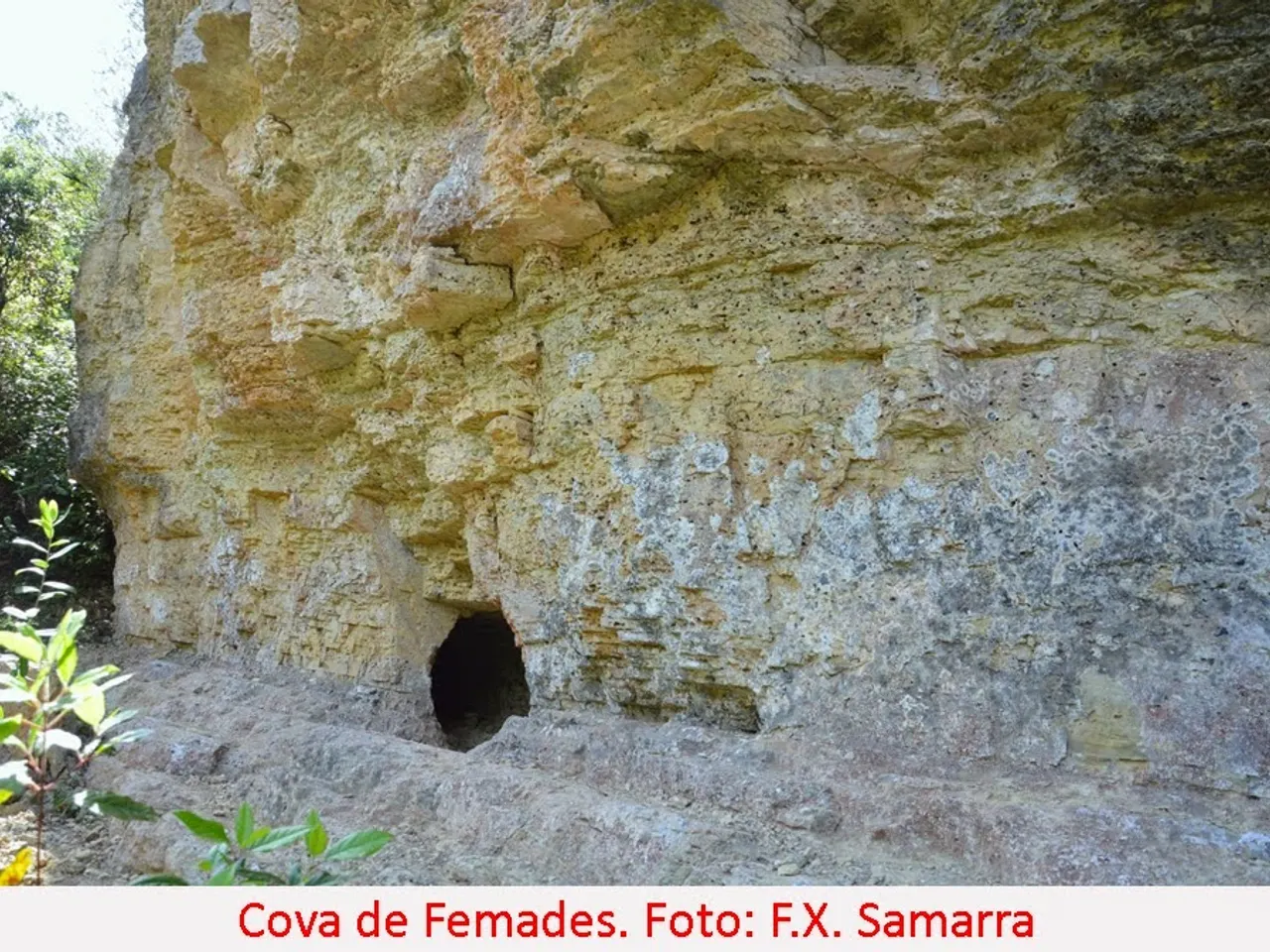 Photographie de FEMADES, COVA DE LES