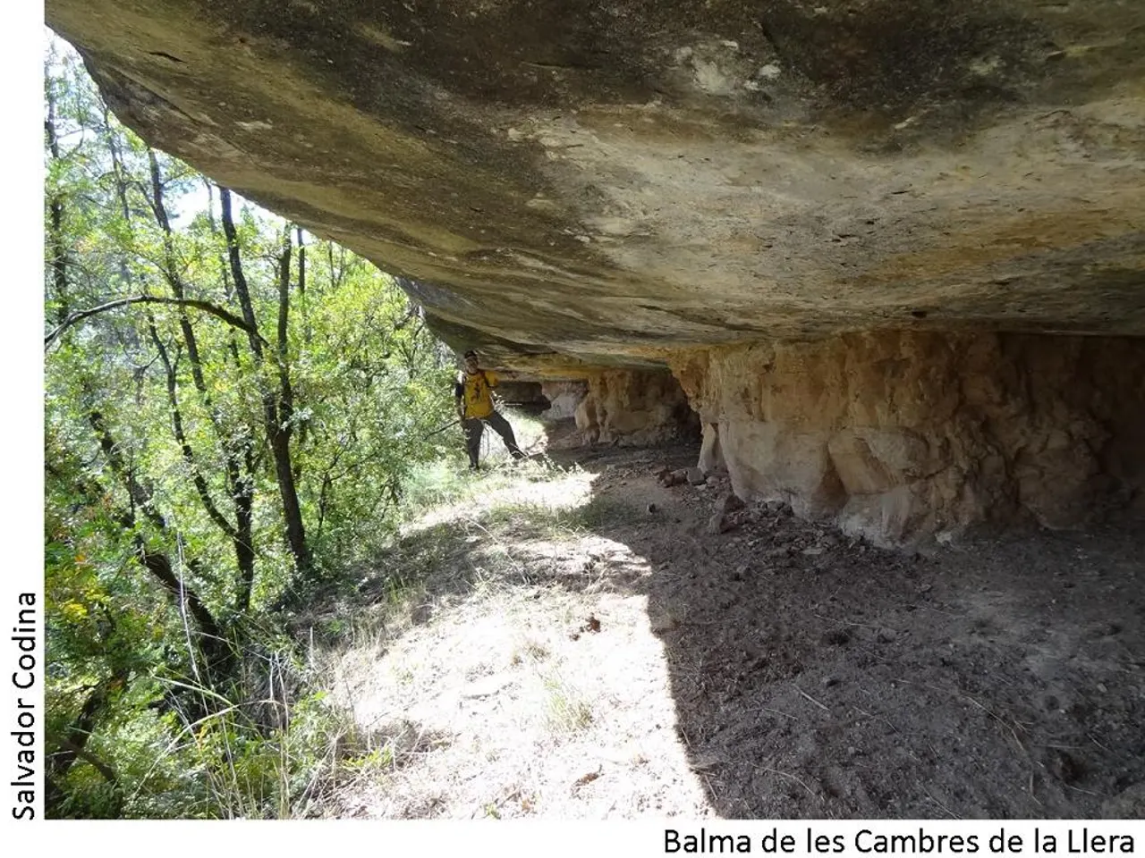 Photograph of CAMBRES DE LA LLERA, BALMA DE LES