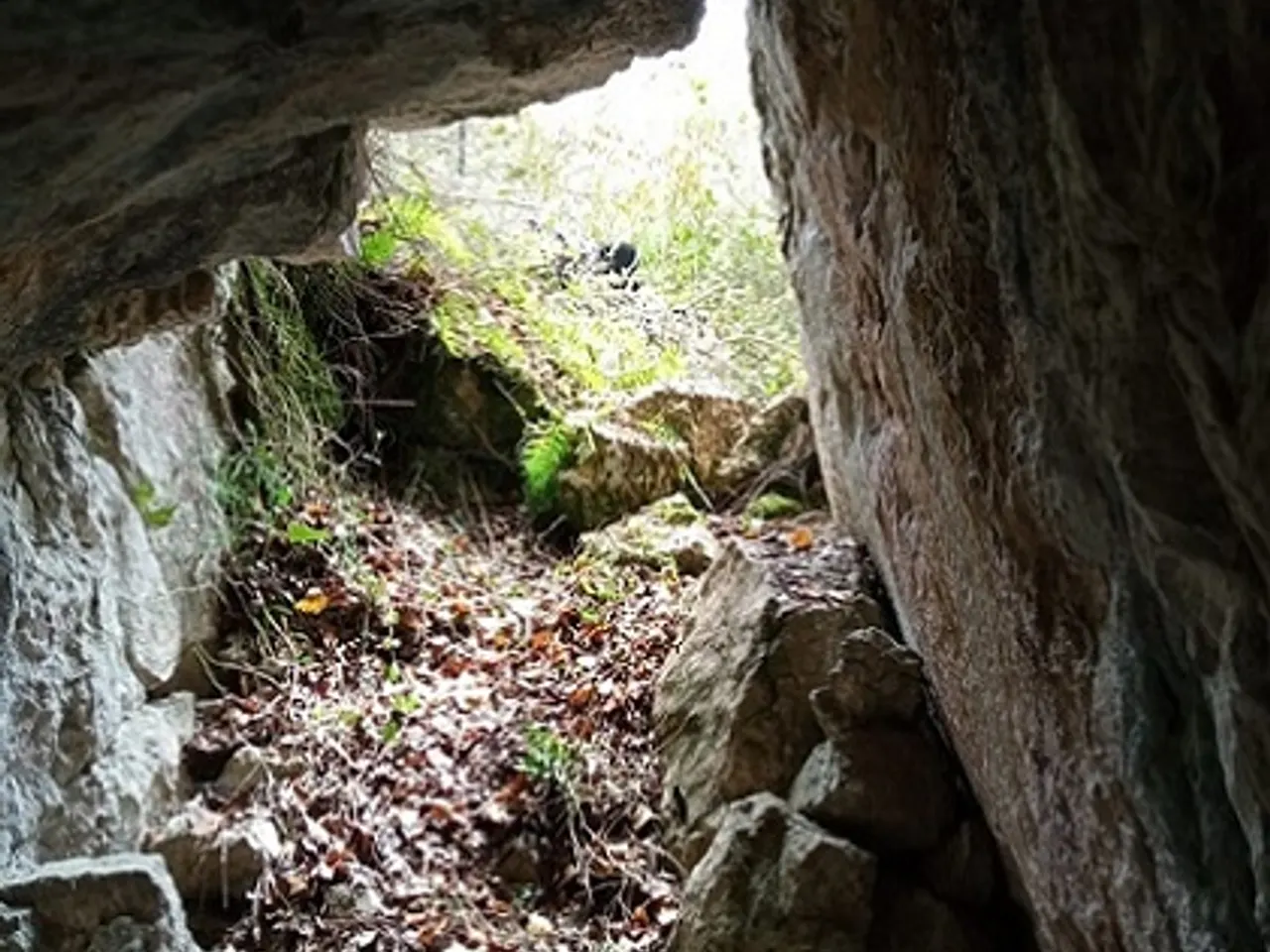 Photographie de BANCARRASSOS, ESCLETXA DELS