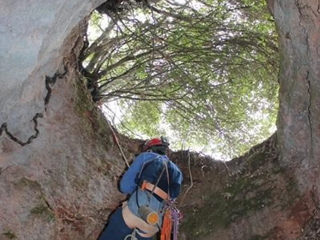 Fotografia de TICA, AVENC DE LA