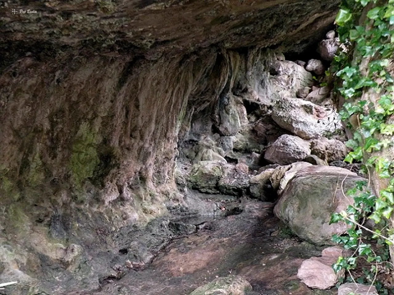 Fotografia de MALLADA, COVA DE LA