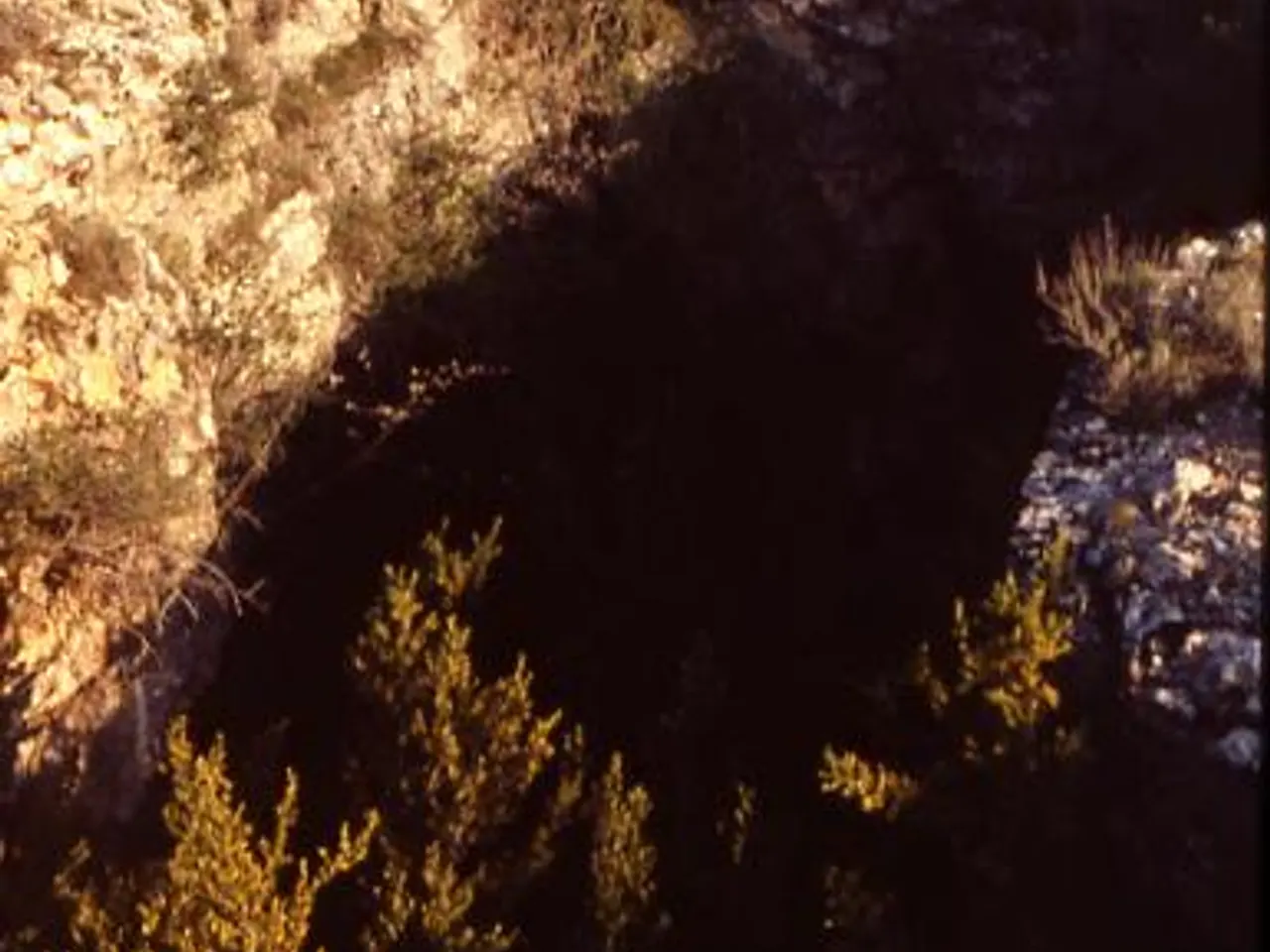Fotografia de CAMBROT, COVA DEL