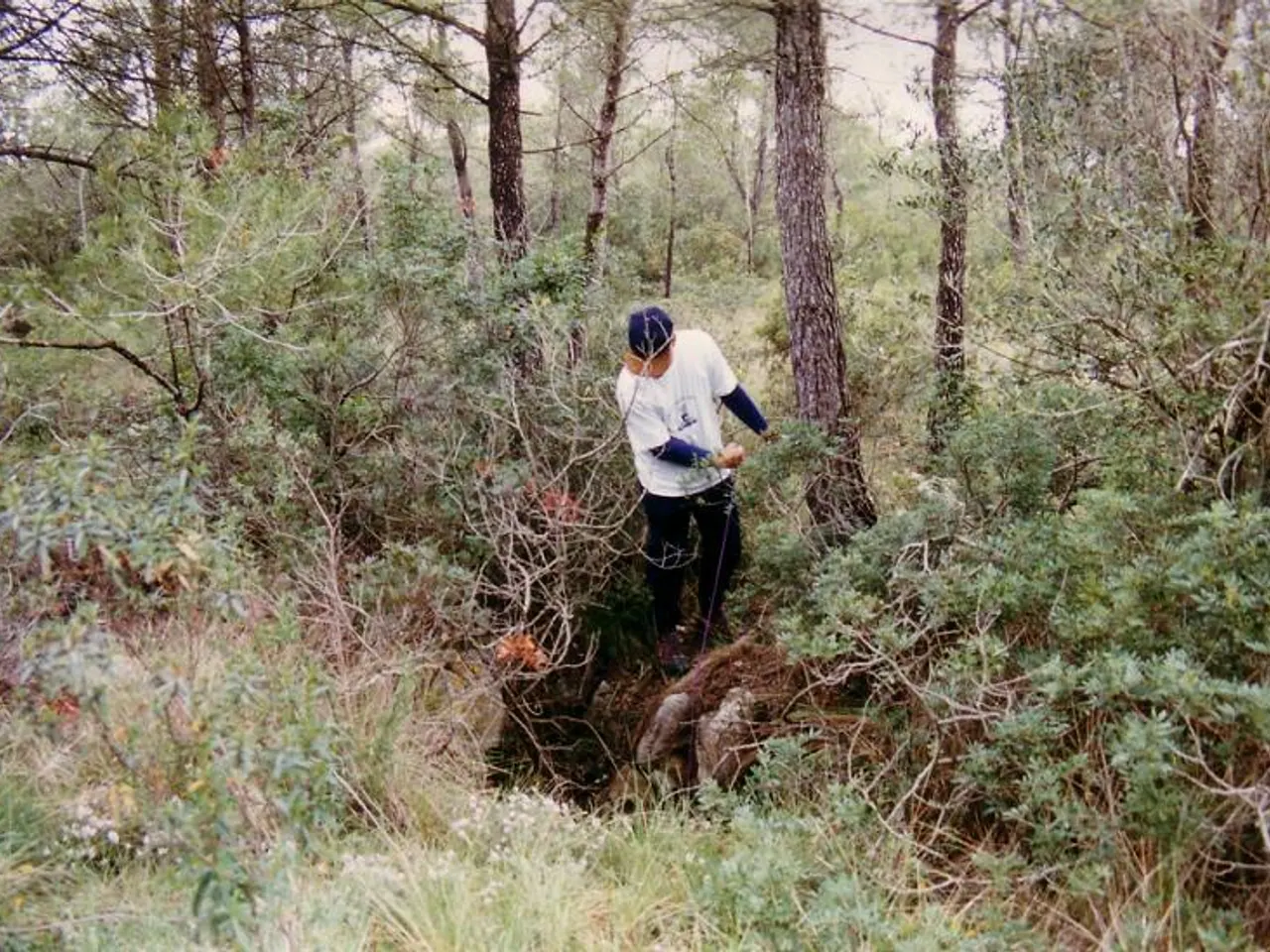 Photograph of VINYA DEL TITÀ, AVENC PETIT DE LA