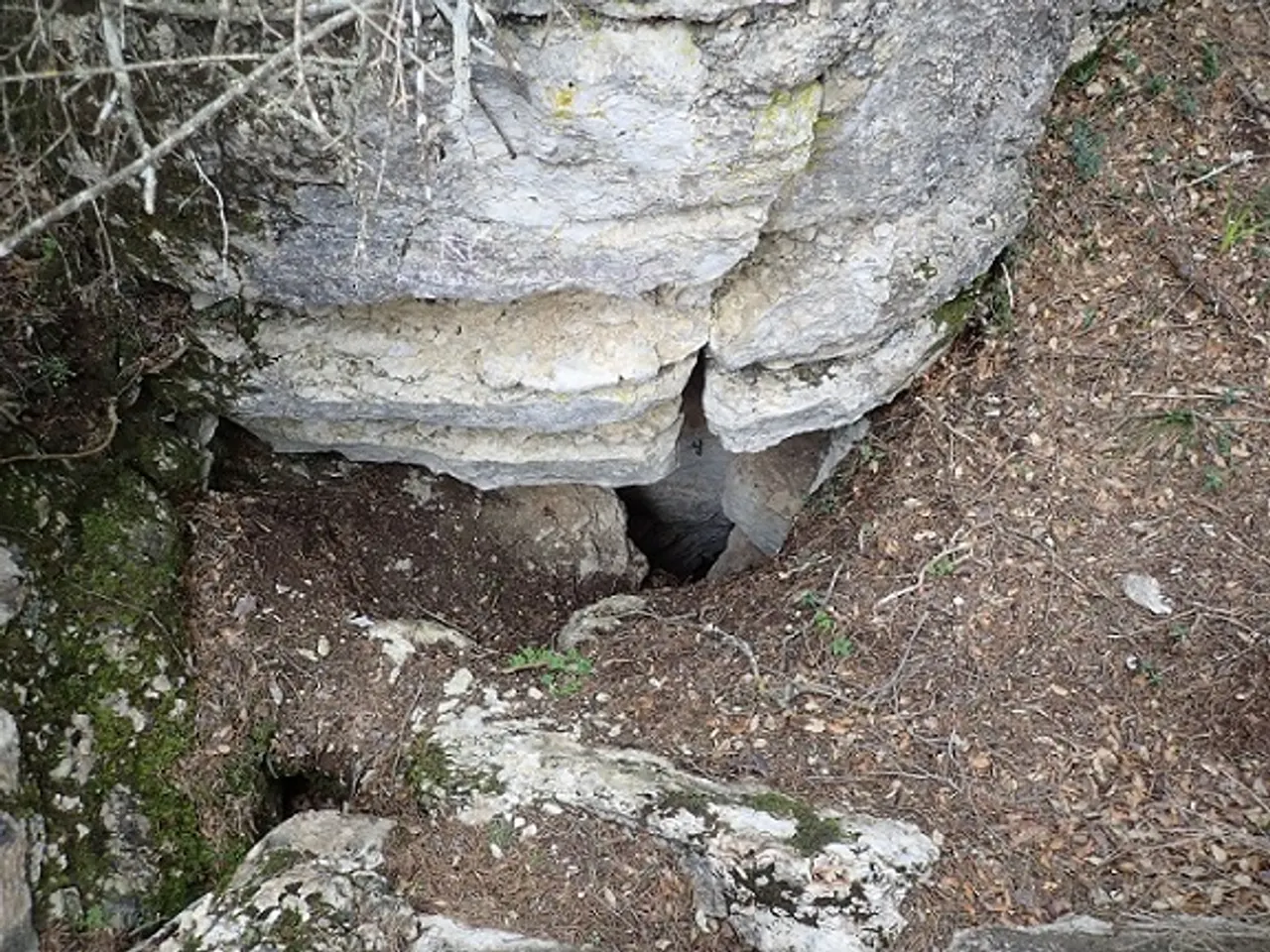 Fotografia de TOSSAL DE CANTACORBS, AVENC DEL