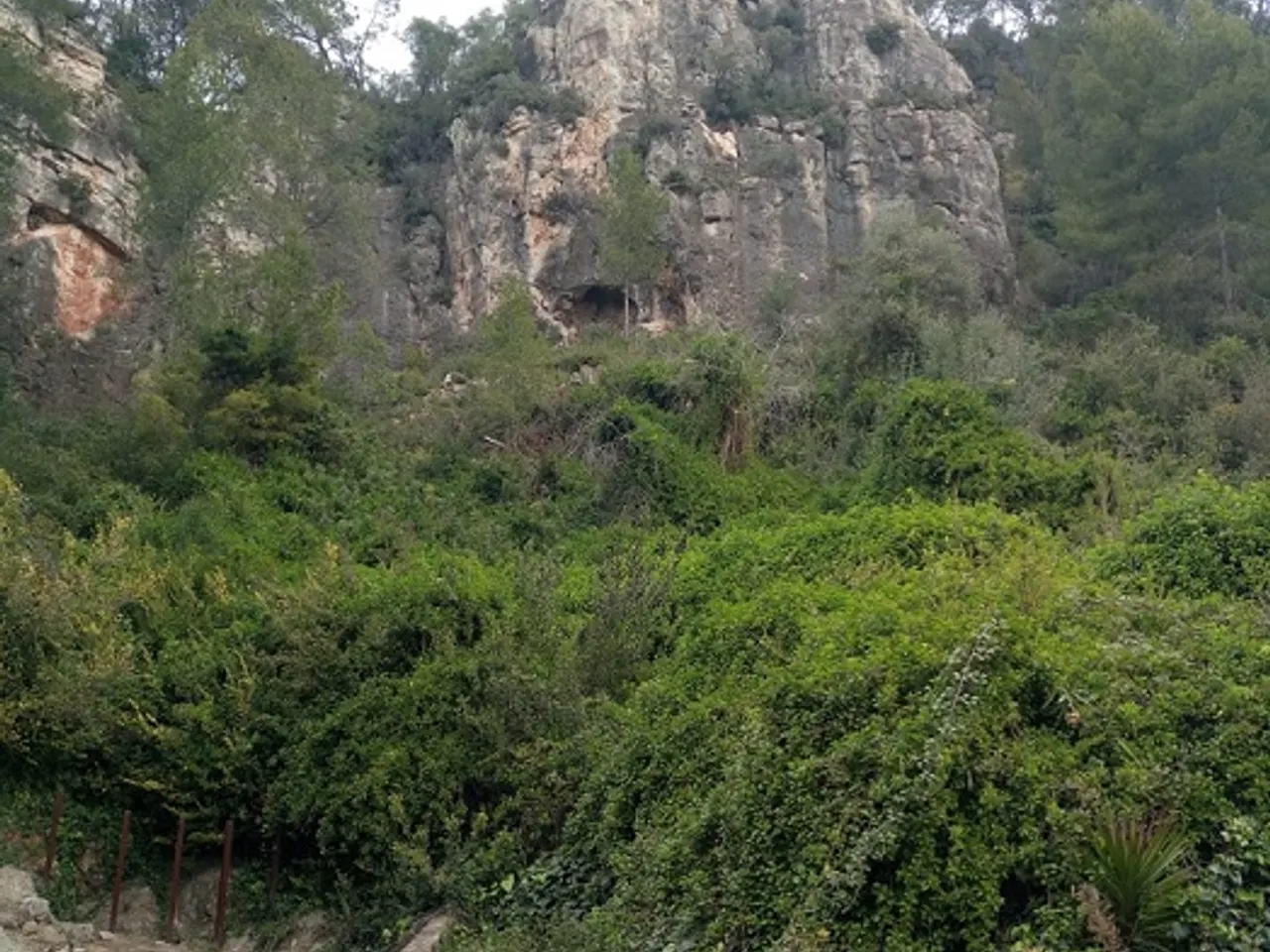 Photograph of PONT DE LA BAUMA, COVA DEL