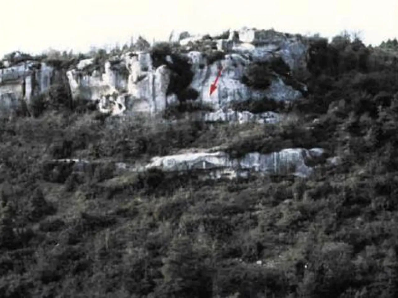 Fotografia de OSSOS, COVA DELS