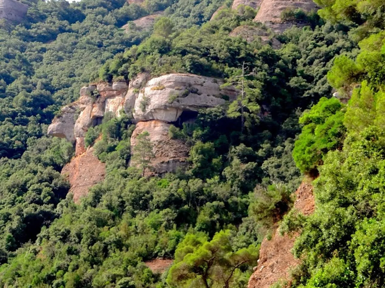 Fotografia de PINASSA, BALMA DE LA