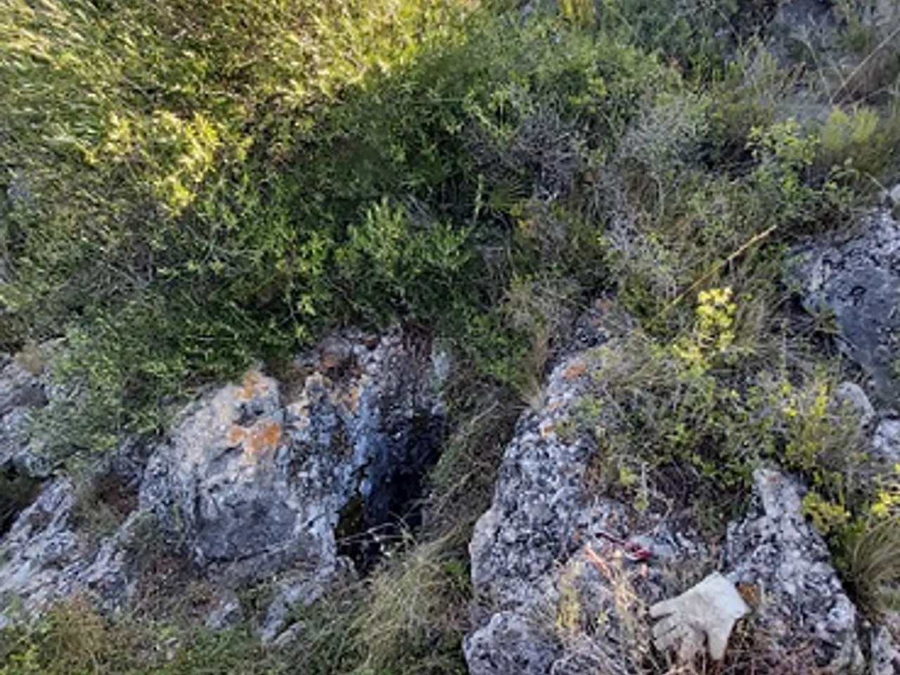 Fotografía de CASTELLETS, AVENC DELS